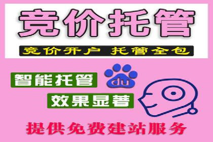 SEM广告投放的关键词选择与优化案例